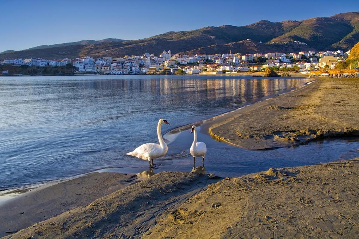 Kontos-Traditional House In Andros Beach 외부 사진